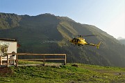11 Elicottero scarica mucca...
